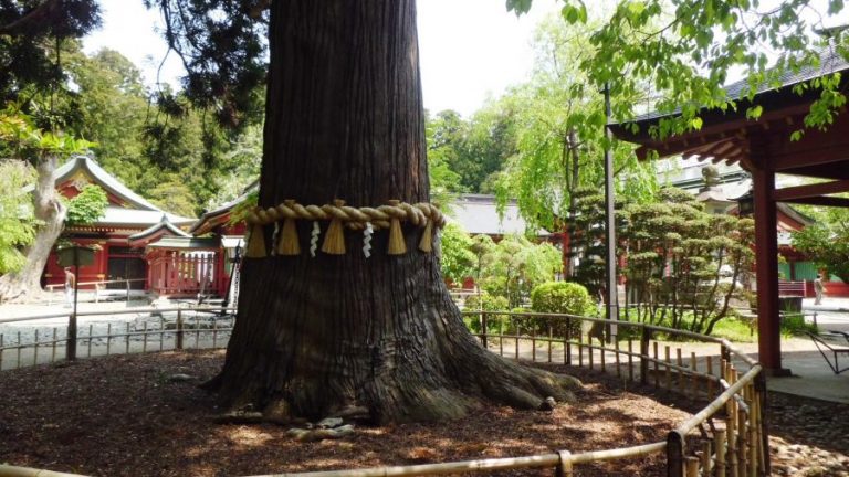 Shintoism definition picture